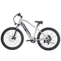 Braeburn Electric Mountain Bike