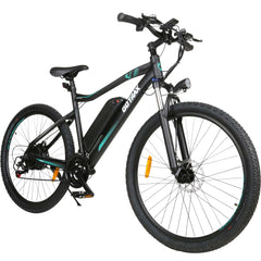 EBE3 Electric Bike