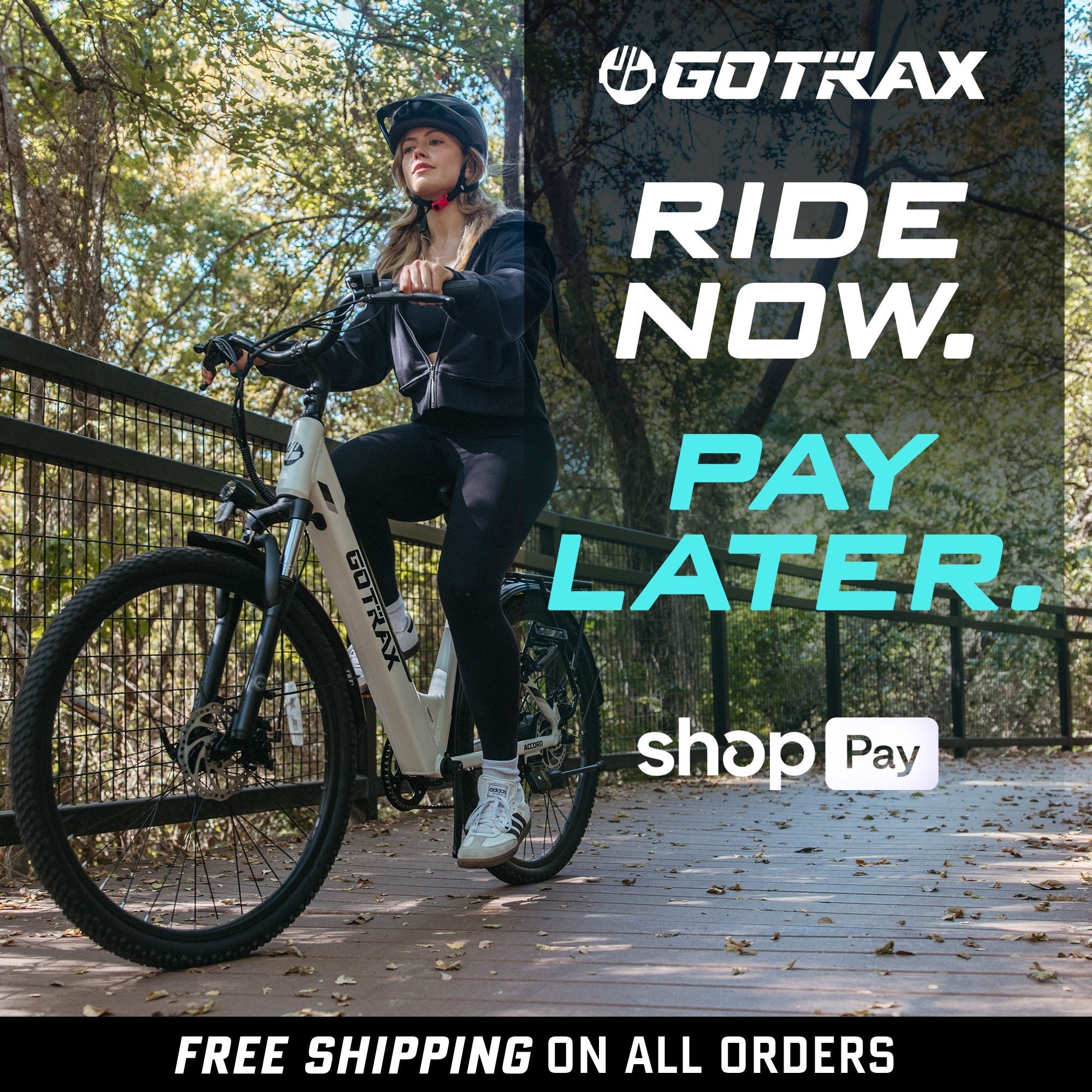 Accord Electric Bike