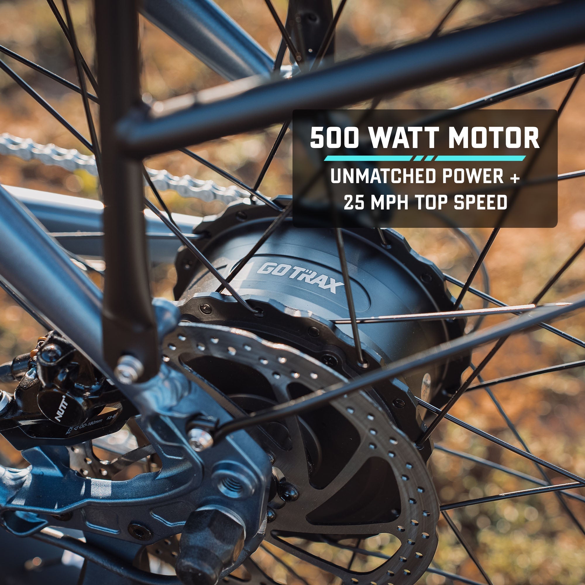 Alpine Fat Tire eBike