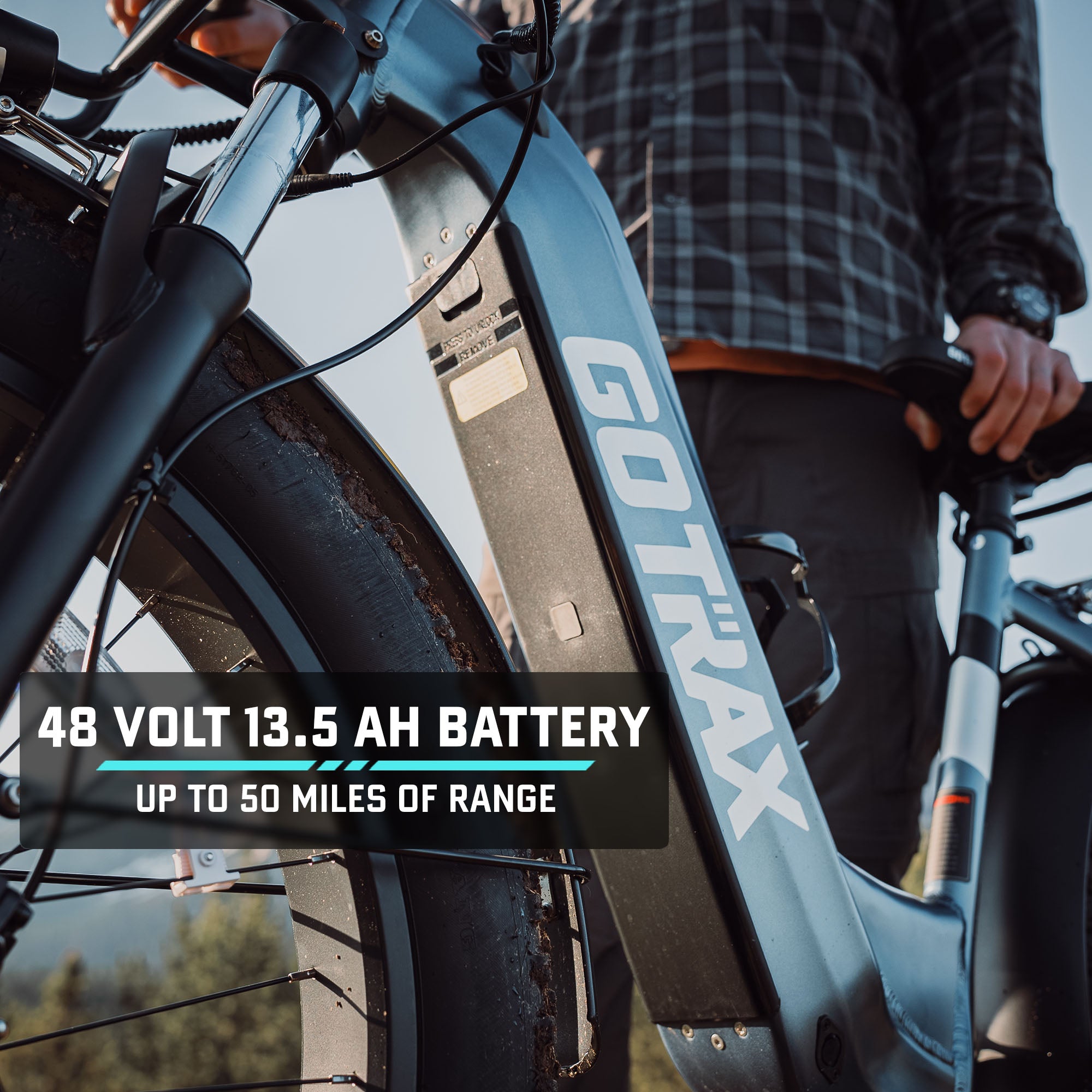 Alpine Fat Tire eBike