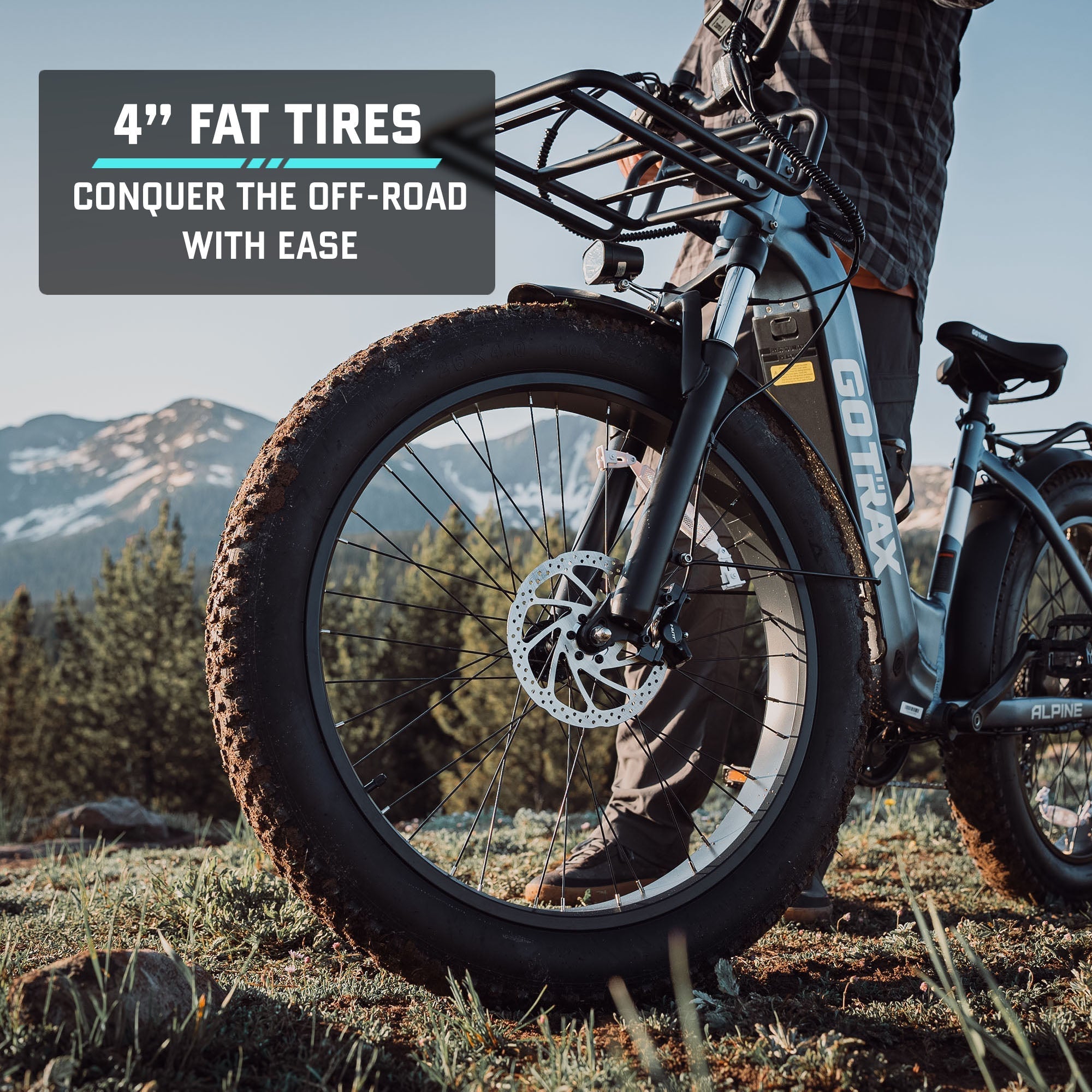 Alpine Fat Tire eBike