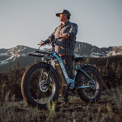 Alpine Fat Tire eBike