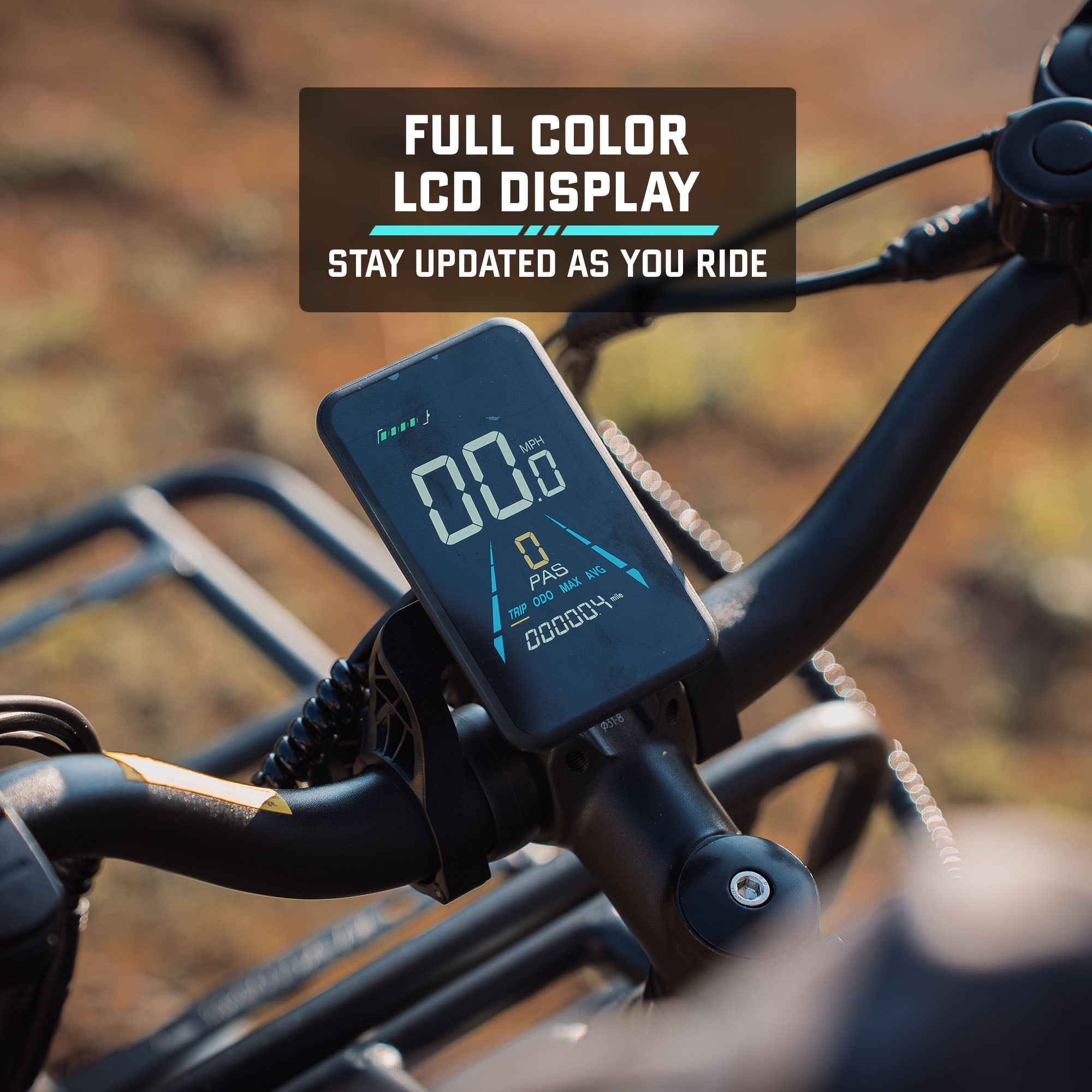 Alpine Fat Tire eBike