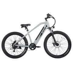 Braeburn Electric Mountain Bike