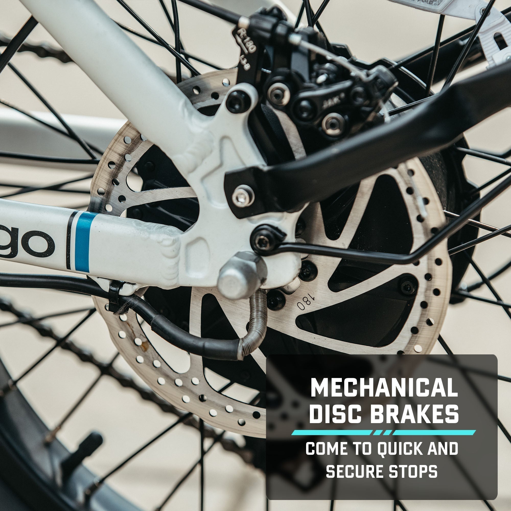 E-Cargo Electric Bike
