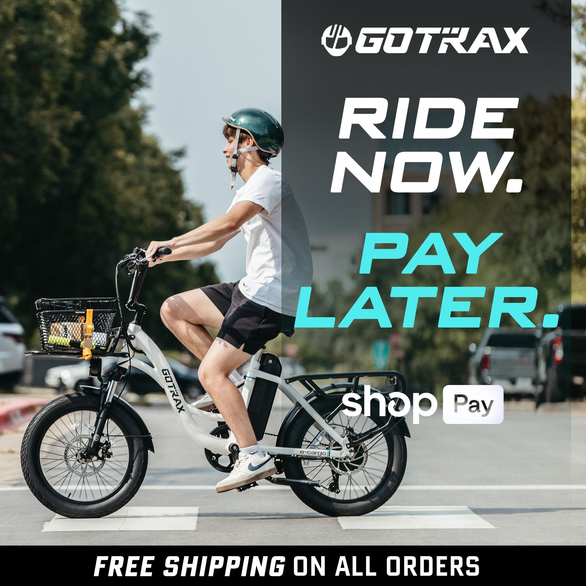 E-Cargo Electric Bike