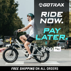 E-Cargo Electric Bike
