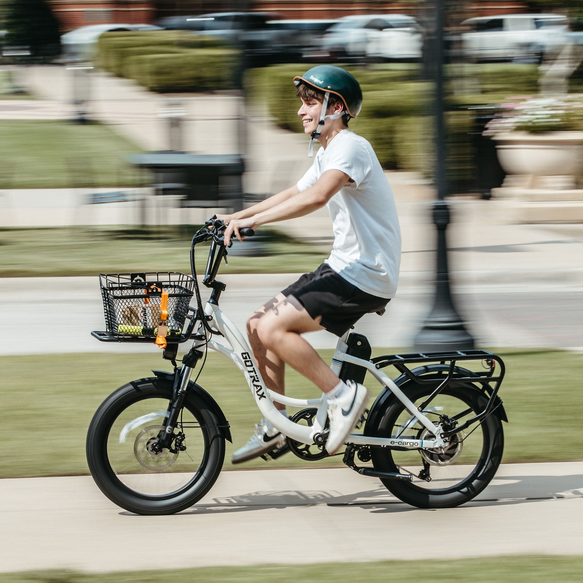 E-Cargo Electric Bike
