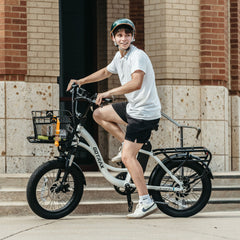 E-Cargo Electric Bike