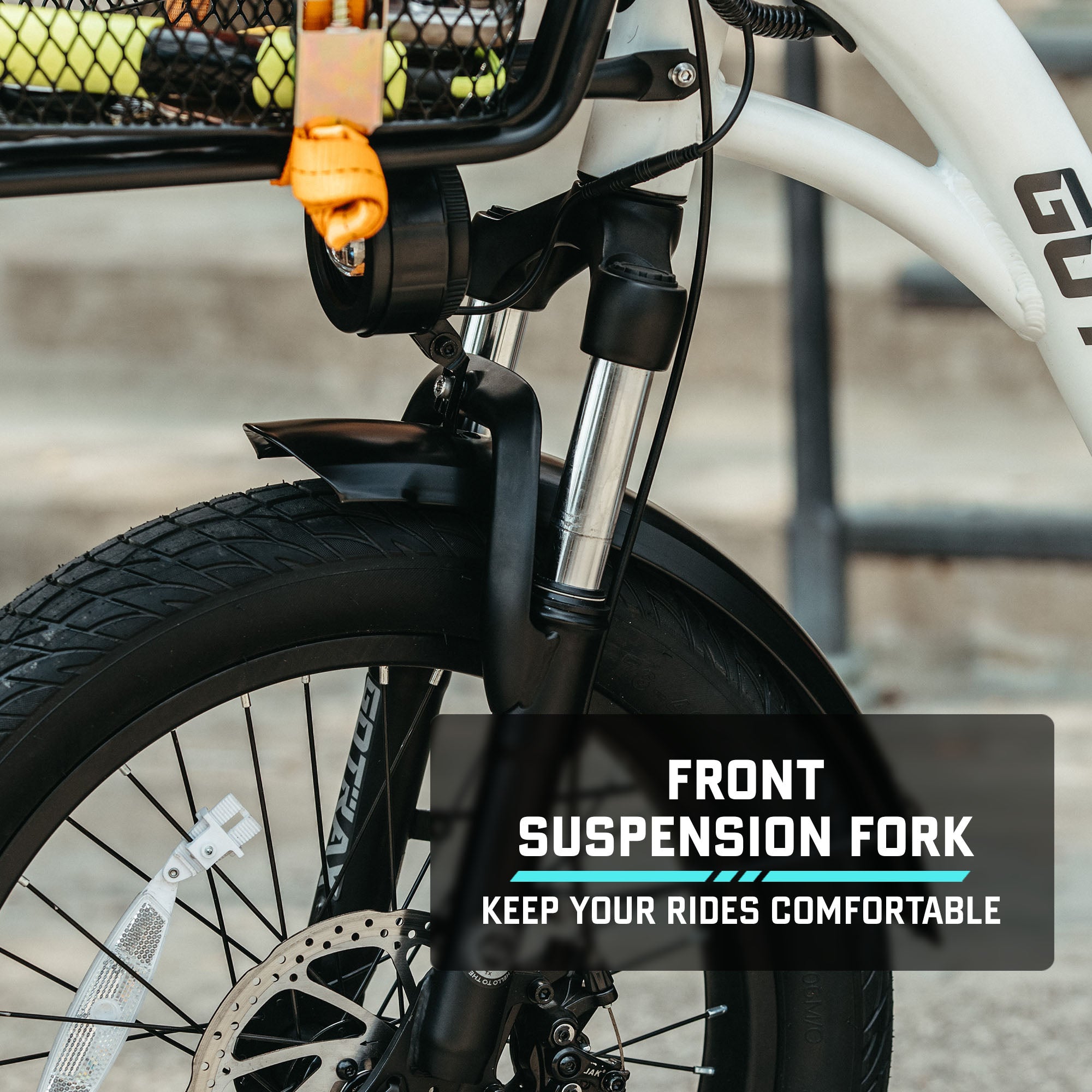 E-Cargo Electric Bike