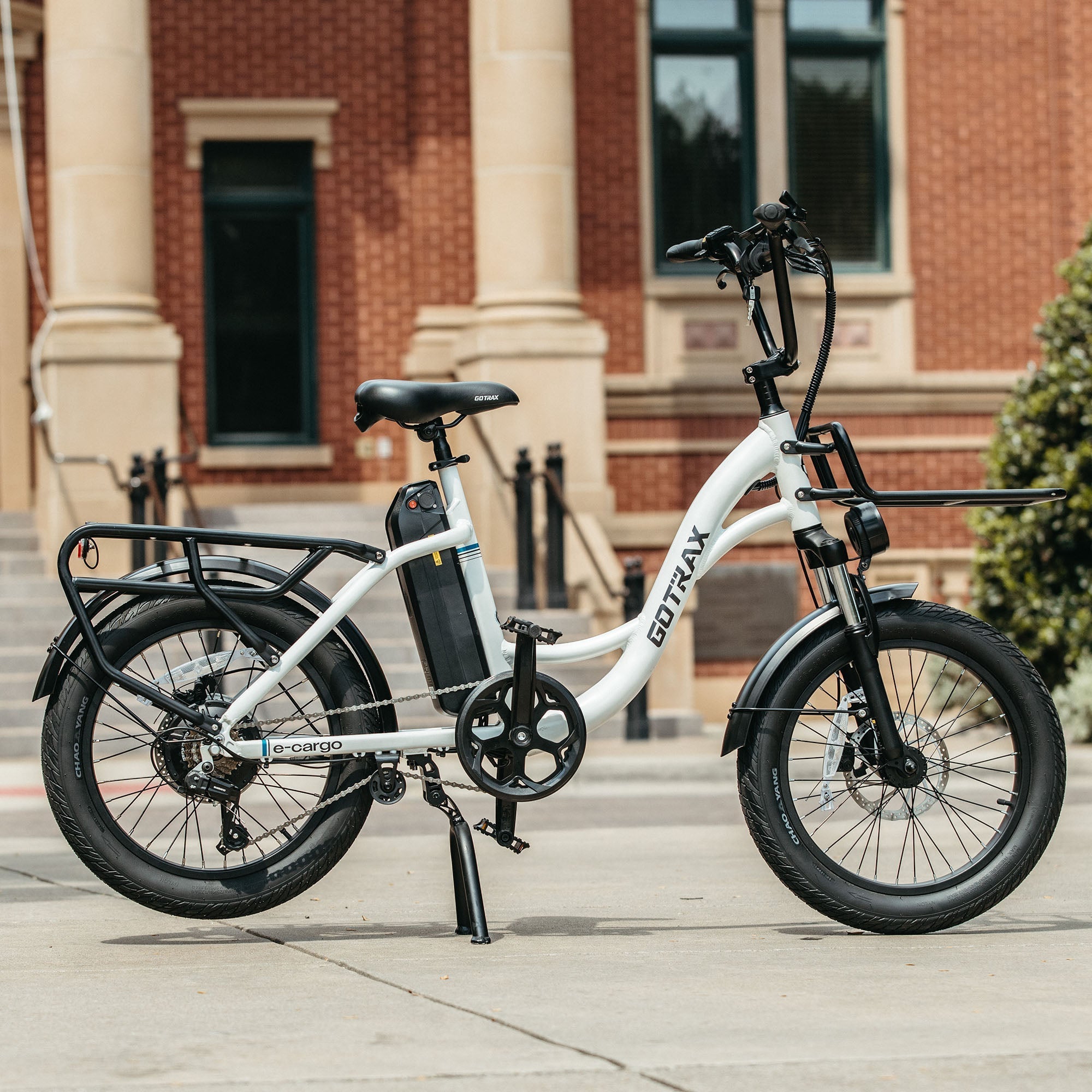 E-Cargo Electric Bike