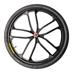 EBE2 Electric Bike Driven Wheel Assembly