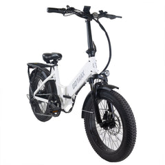 F2 Electric Bike 1.0