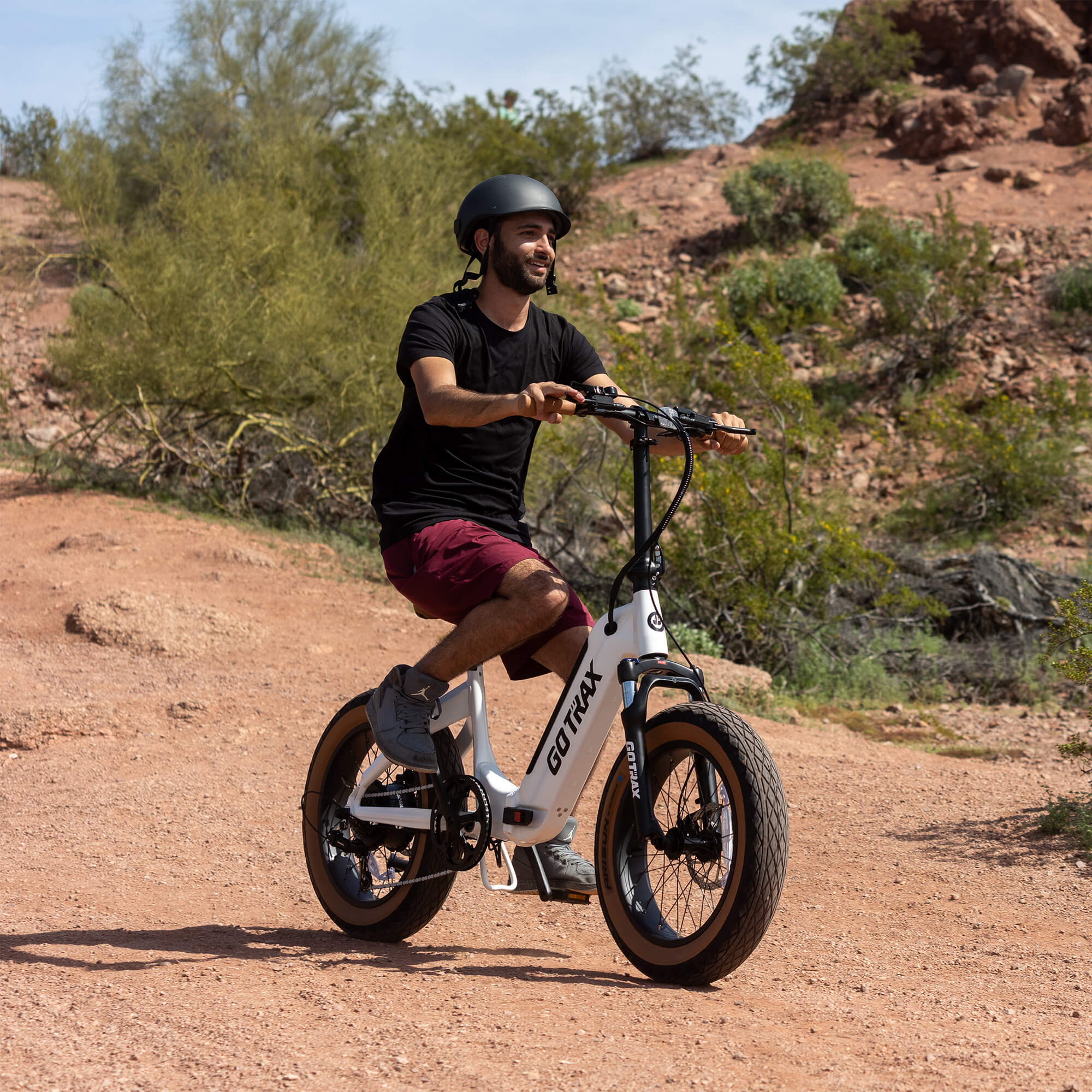 F5 Fat Tire Folding Electric Bike