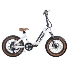 F5 Fat Tire Folding Electric Bike