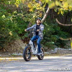 F5 Fat Tire Folding Electric Bike