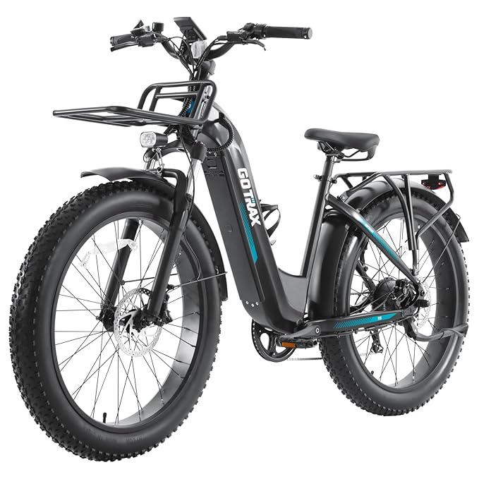 Alpine Fat Tire eBike